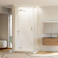 Душевой угол раздвижной прямоугольный RV073RG/L-100100-06-C4 1000х1000х1950 Цвет профиля Золото брашинг Стекло Дождь Veconi